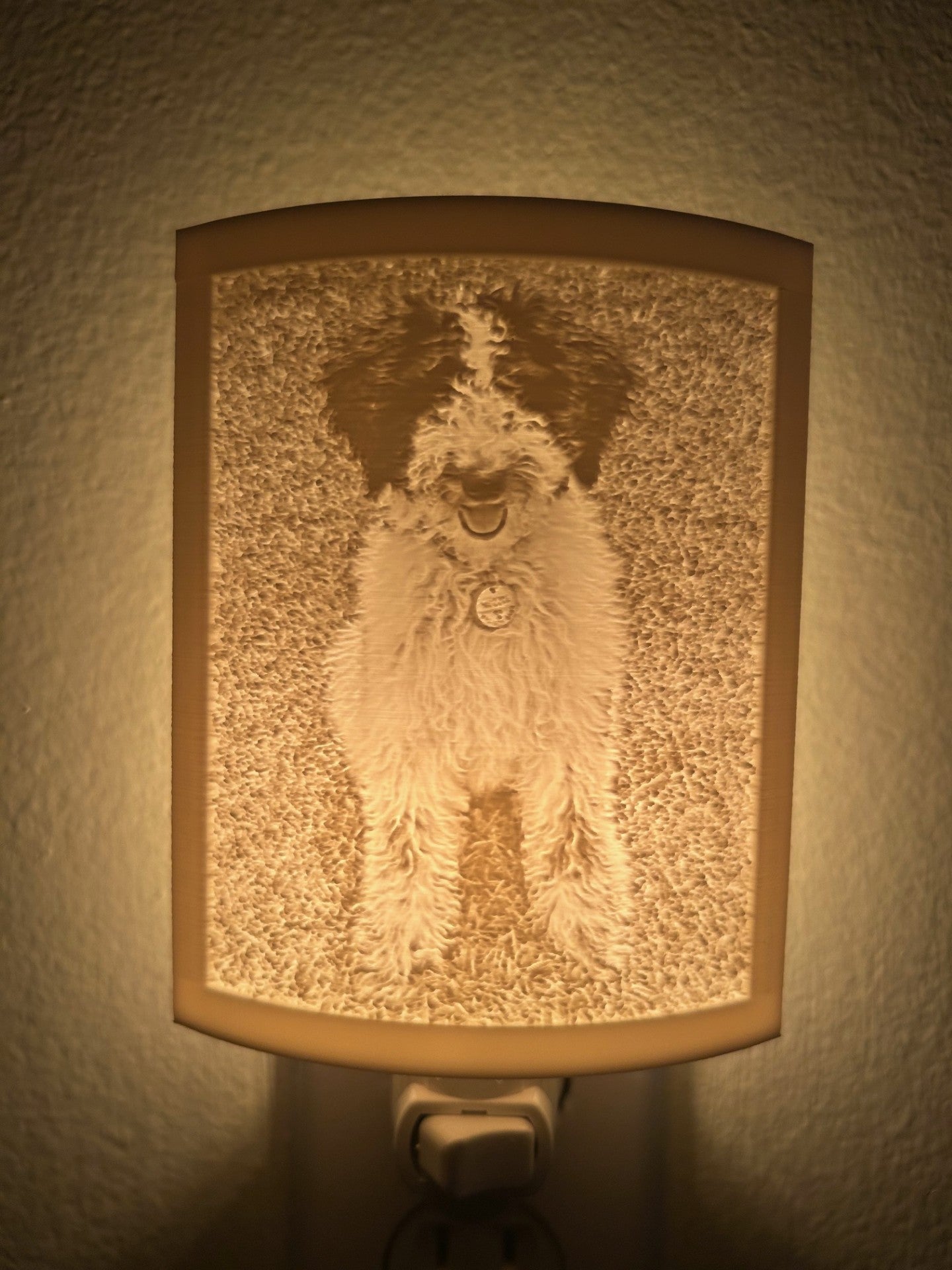 Lithophane Wall Light