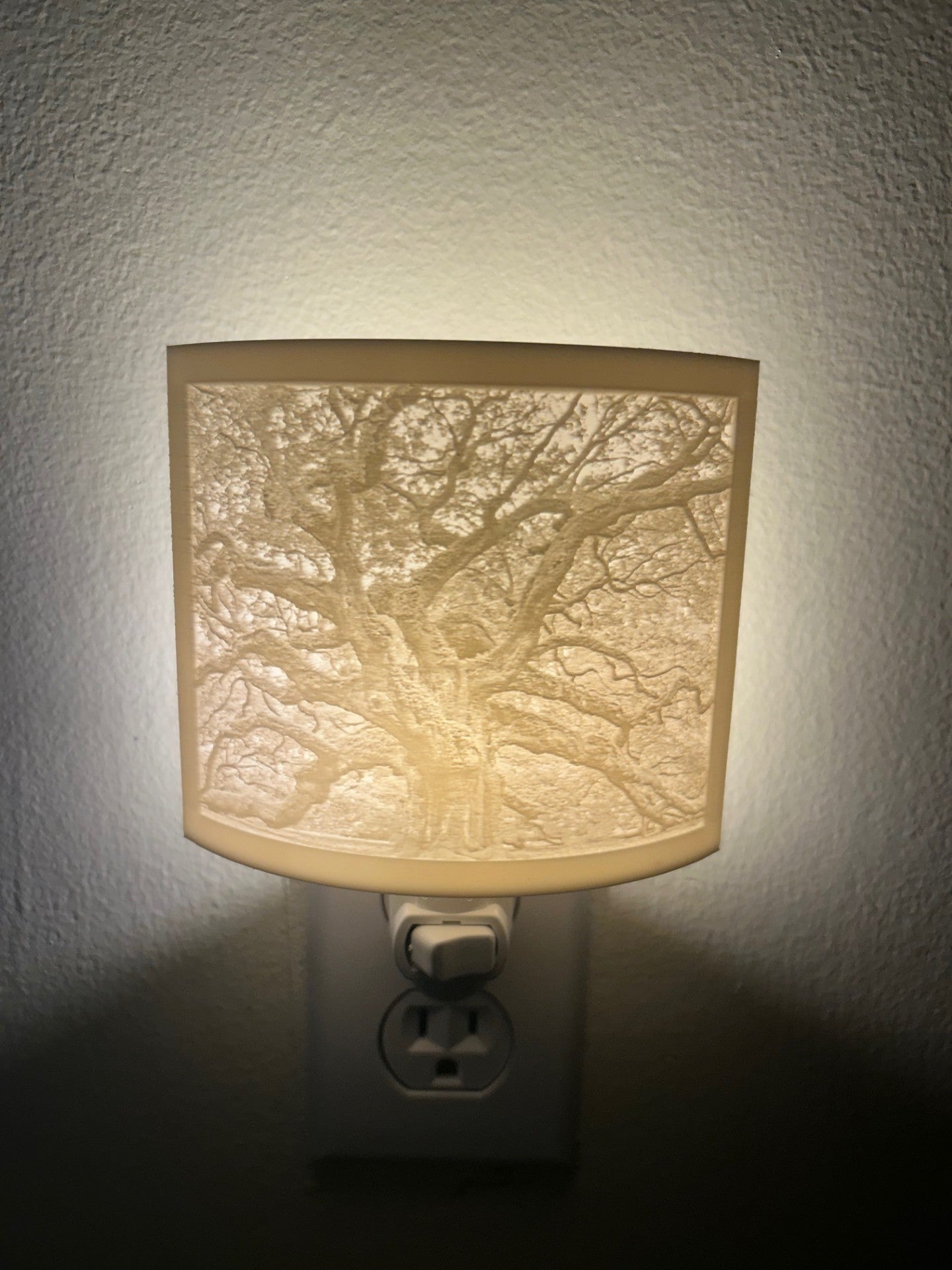 Lithophane Wall Light