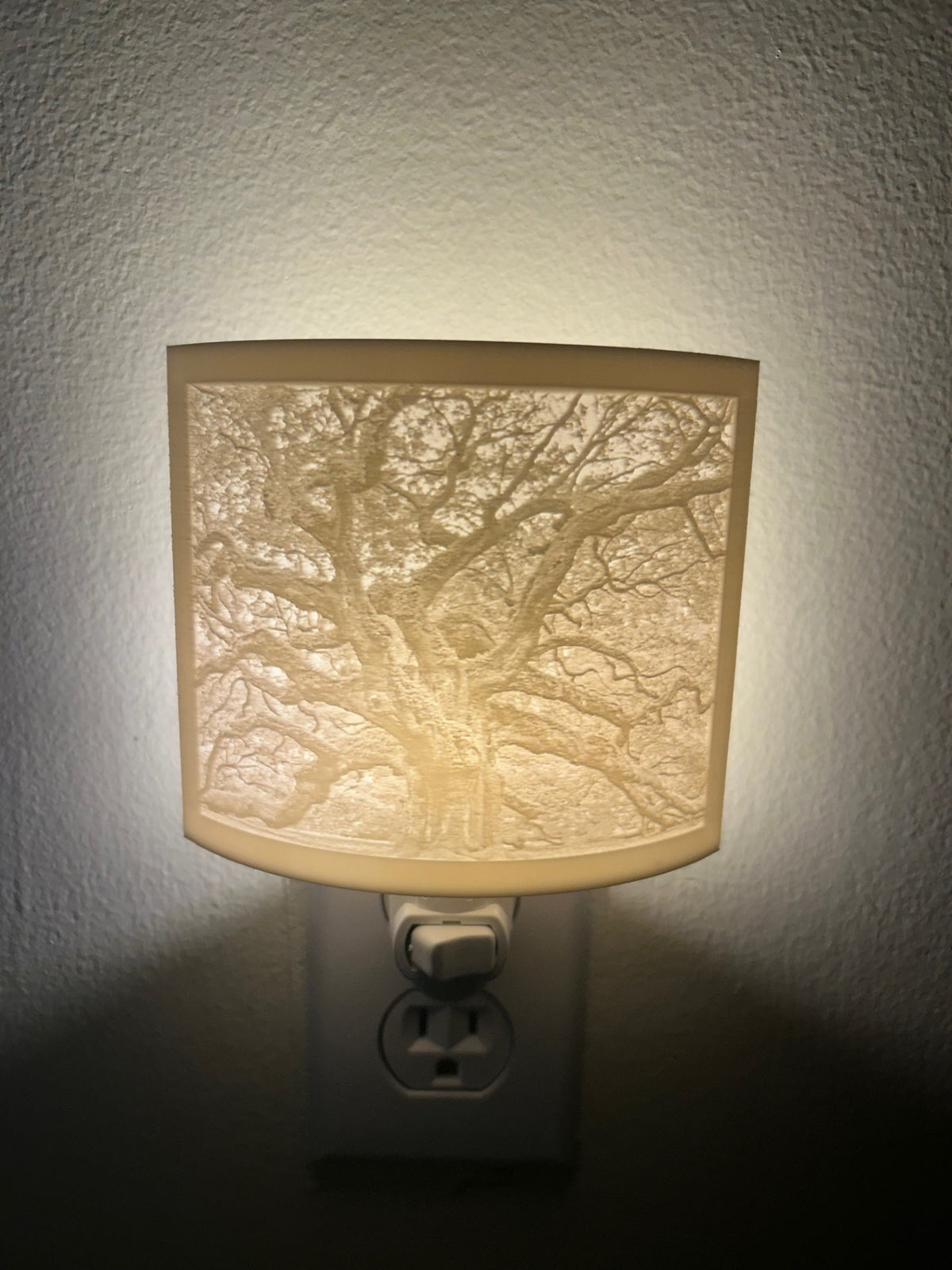 Lithophane wall light plugged into an outlet, glowing with an Angel Oak tree design
