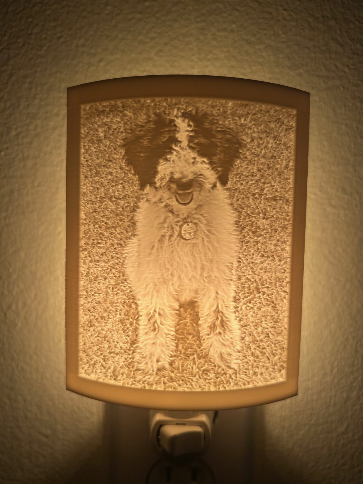 Lithophane wall light glowing with a shaggy dog photo, a personalized pet portrait night light