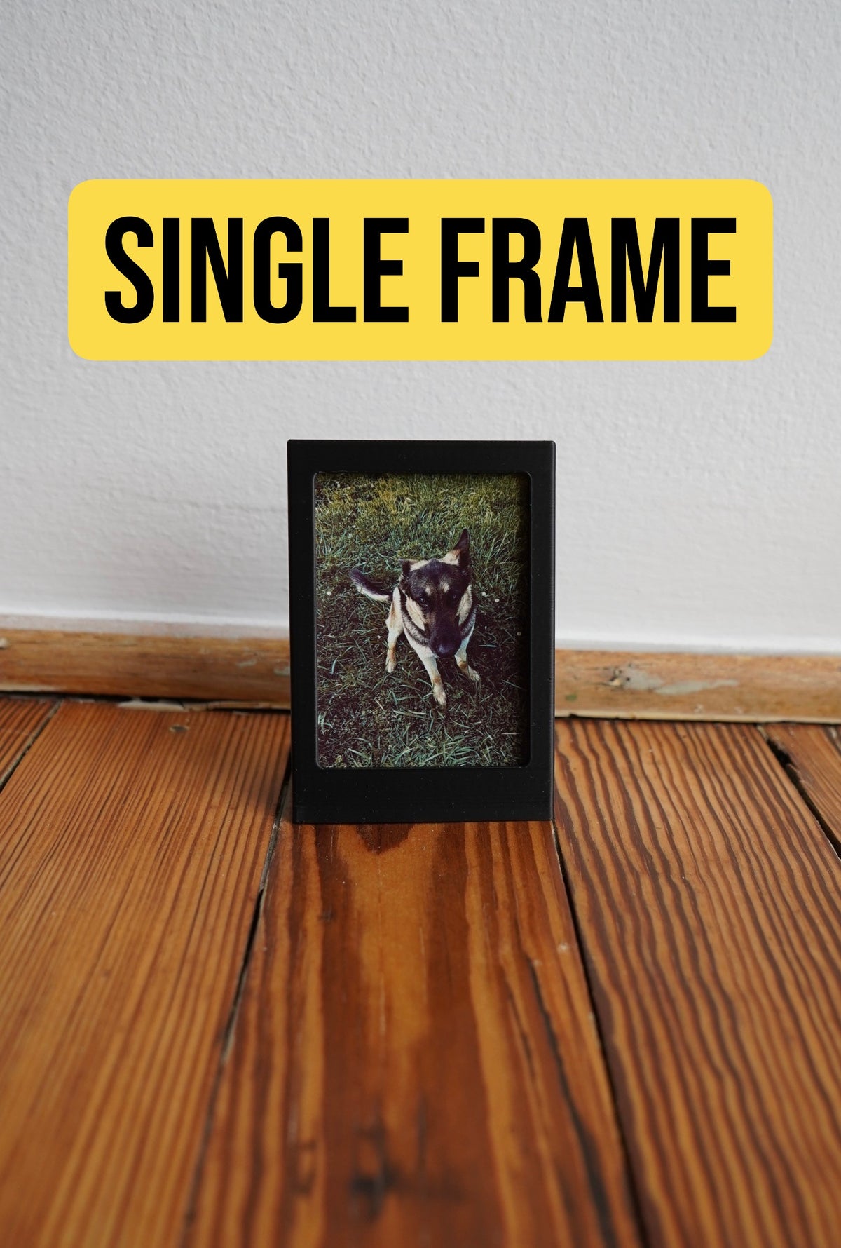 Single Polaroid picture frame with a custom dog photo