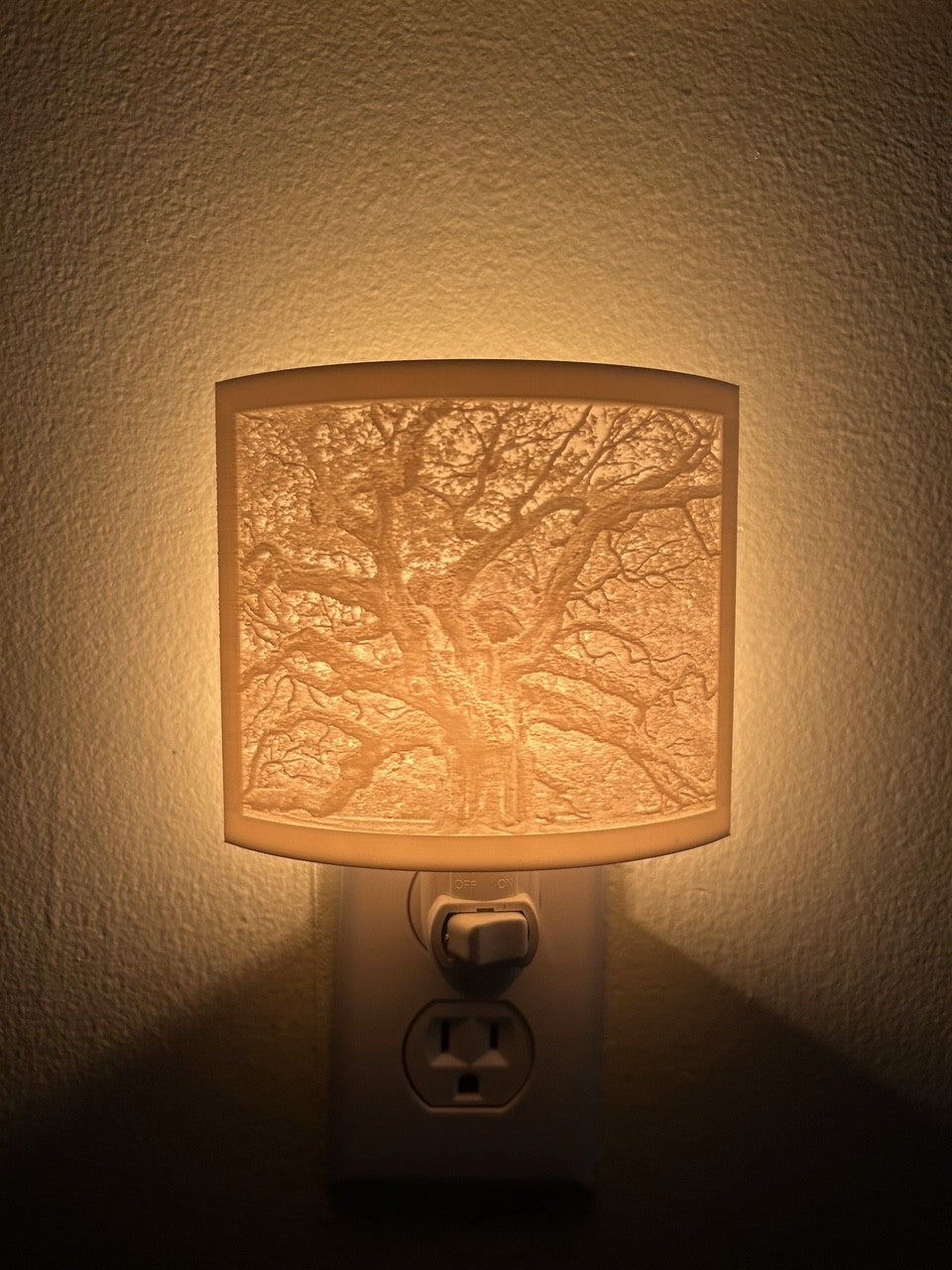 Lithophane Wall Light