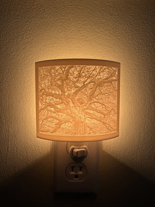 Lithophane Wall Light